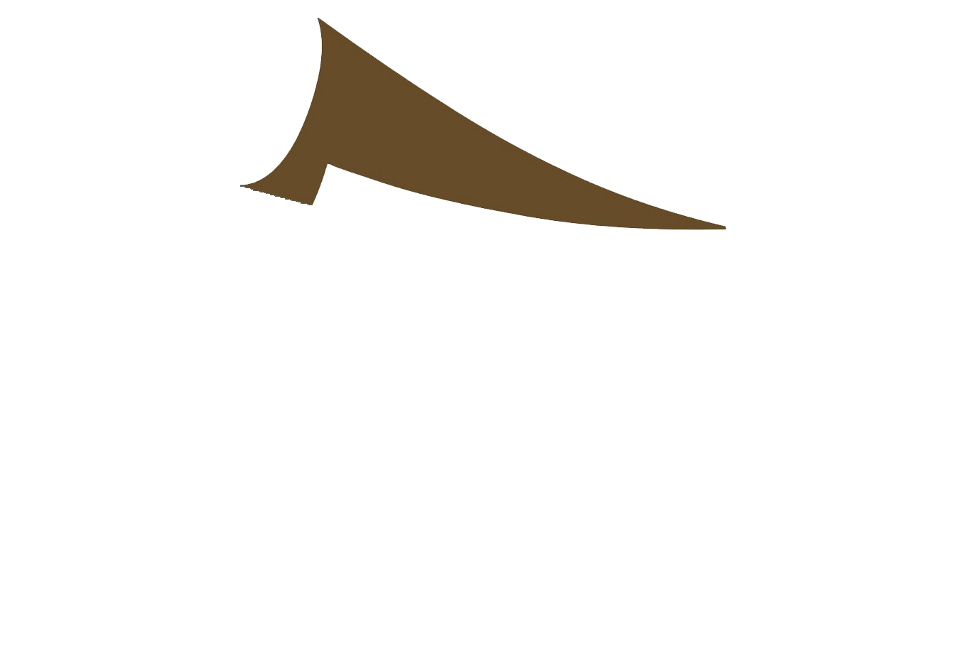 DT Roof